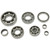 Hot Rods - Transmission Bearing Kit - HR00076