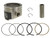 Namura - Piston Kit Nikasil Cyl 79.97/+0.02 11:1 Pol - NA-50070-C