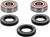 Pivot Works - Wheel Bearing Kit Premium - 25-1035-P