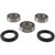 Pivot Works - Rear Wheel Bearing Kit - PWRWK-S09-021
