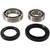 Pivot Works - Rear Wheel Bearing Kit - PWRWK-Y23-030