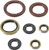 Vertex - Oil Seal Set - 822372