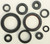 Vertex - Oil Seal Set - 822248