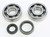 Prox - Crankshaft Bearing & Seal Kit Suz - 23.CBS32089