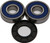 All Balls - Rear Wheel Bearing/seal Kit - 25-1353