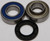 All Balls - Jack Shaft Bearing & Seal Kit - 14-1061