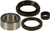 All Balls - Wheel Bearing & Seal Kit - 25-1003