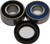 All Balls - Wheel Bearing/seal Kit Bmw Front / Honda Rear - 25-1020