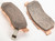 All Balls - Brake Pad Kit Sintered - 18-8043 All Balls - Brake Pad Kit Sintered - 18-8043