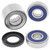 All Balls - Front Wheel Bearing Kit - 25-1729