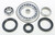 All Balls - Rear Differential Bearing And Seal Kit - 25-2045
