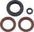 Vertex - Oil Seal 900 Ace - 622206