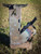 Thumper Fab Portable Rocket Stove - TF000016
