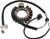 QuadBoss Stators - AYA4030/340-58001 - 463525 QuadBoss Stators - AYA4030/340-58001 - 463525