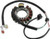 QuadBoss Stators - AYA4030/340-58001 - 463525 QuadBoss Stators - AYA4030/340-58001 - 463525