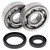 All Balls Racing 89-01 Suzuki RM80 Crank Shaft Bearing Kit - 24-1014 - 24-1014