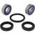 All Balls Racing 91-98 Honda CBR400 Wheel Bearing Kit Front - 25-1077 - 25-1077 All Balls Racing 91-98 Honda CBR400 Wheel Bearing Kit Front - 25-1077 - 25-1077