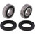All Balls Racing 04-07 Honda CBF500 (Euro) Wheel Bearing Kit Front - 25-1653 - 25-1653