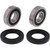 All Balls Racing 04-07 Honda CBF500 (Euro) Wheel Bearing Kit Front - 25-1653 - 25-1653