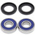 All Balls Racing 09-17 Yamaha FZ6R Wheel Bearing Kit Front - 25-1659 - 25-1659
