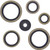 Vertex - Engine Oil Seals Ktm - 822187