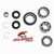 All Balls - Differential Bearing Kit - 25-2002