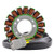 Rmstator Generator Stator - RM01399