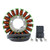 Rmstator Generator Stator - RM01459