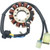 Rick's Motorsport Electric - Stator Honda - 21-604