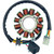 Rick's Motorsport Electric - Stator Rmz450 - 21-829