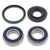 All Balls Racing - Snowmobile Chain Case Bearing & Seal Kit - 14-1023