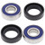 All Balls Racing - Wheel Bearing Kit - One Wheel - 25-1009