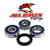 All Balls Racing - Wheel Bearing Kit - 25-1087