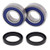All Balls Racing - Rear Wheel Bearing Kit - Both Wheels - 25-1274