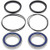 All Balls Racing - Rear Wheel Bearing Kit - Both Wheels - 25-1320