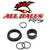 All Balls Racing - Countershaft Seal Kit - 25-4026