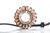 Ricks - Stator