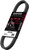 Dayco - Xtx Atv Belt