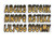 Kawasaki Boat Lettering Brown/Black 3"³ Registration Kit - Hardline