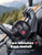 Honda Offroad Hunting Tool Holder Rack - Kemimoto