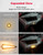 Honda Pioneer/Talon Universal 3-in-1 Triangle Turn Signal Kit with Column Switch & 110dB Horn - Kemimoto