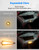 Kawasaki Teryx/Mule Turn Signal Kit with 110D Horn - Kemimoto