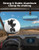Polaris RZR Rear View Mirror - Kemimoto
