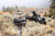 Kawasaki Mule / Ridge / Teryx / KRX Stronghold Gun Boot L - Kolpin