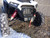 Polaris RZR 1000 Quick-Mount Winch 4500 lb Synthetic Rope - Kolpin