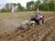 Can-Am 43" Chisel Plow/Cultivator - Kunz