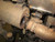 Polaris Ranger 570 Exhaust Gasket Donut Seal - Quad Logic