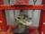 Polaris Ranger 800 Front Wheel Bearings & Press Tool - Quad Logic
