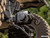 Polaris RZR Ready Rope Hitch Mount - SuperATV