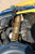 Can-Am Maverick X3 Shock Therapy Stage 3 Shock Kit - TMW Offroad